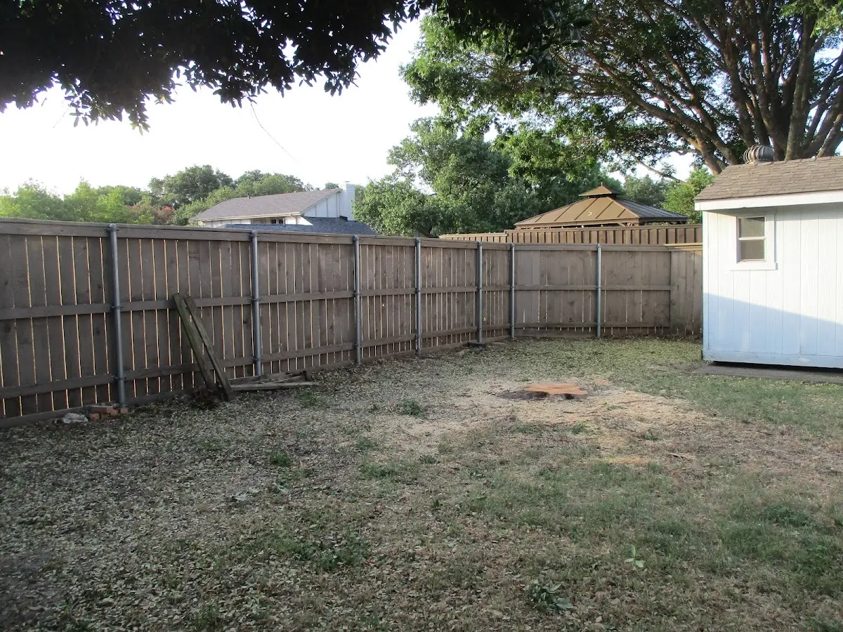 Cleared yard after professional tree removal in Plattsmouth