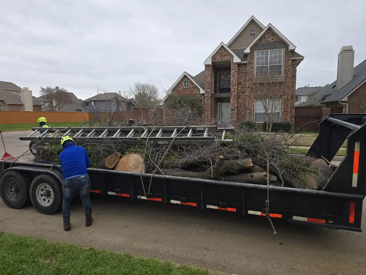 Expert Crown Reduction with proper safety equipment in Plattsmouth
